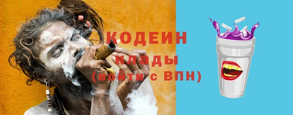 PSILOCYBIN Заводоуковск