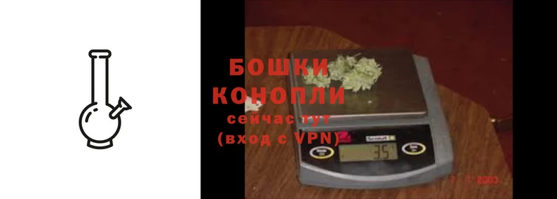 PSILOCYBIN Заводоуковск