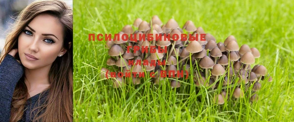 прущая мука Заволжье