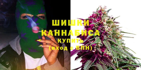 PSILOCYBIN Заводоуковск