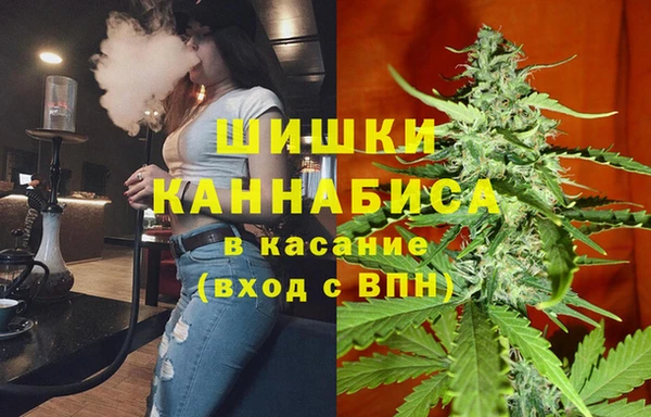 PSILOCYBIN Заводоуковск