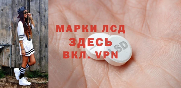 PSILOCYBIN Заводоуковск