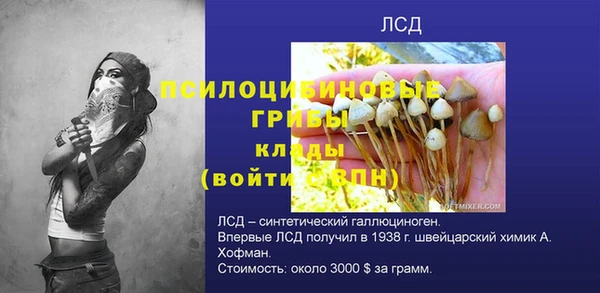 PSILOCYBIN Заводоуковск